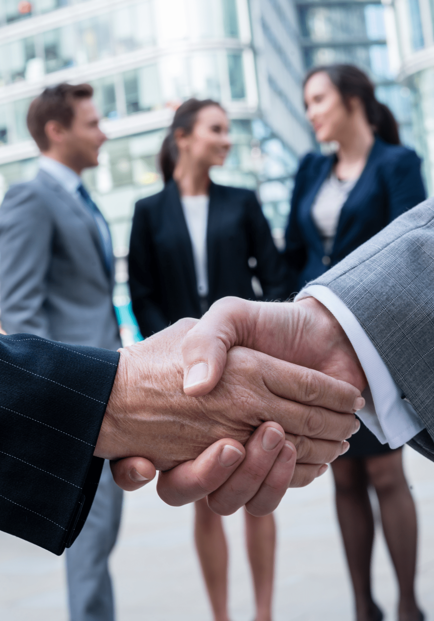 DHO Membership + DMV Hearing Advocacy Bundle - DUI - Help.Org