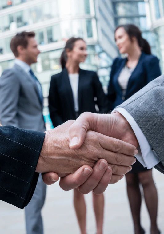 Getting your license back